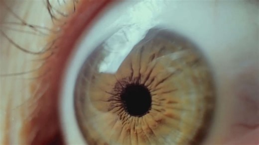 25 bizarre things you didn't know about eye colors