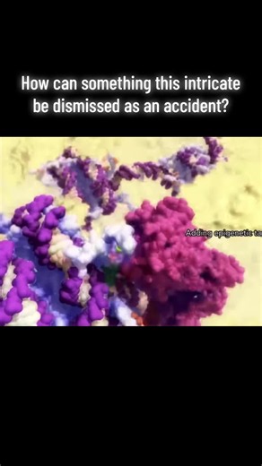 The complexities of the cell, the universe, and existence point to a creator. #Intelligentdesign #Complexity #Universe #Creator #God
