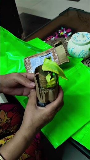 Lucky brazilian wood plant unboxing #youtube #viral#