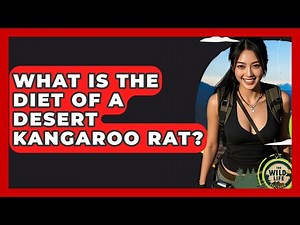 What Is The Diet Of A Desert Kangaroo Rat? - The Wild Life Explorer