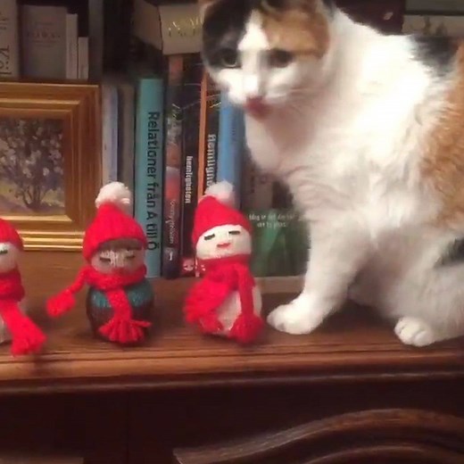 We all know someone who hates Christmas this much 👀😂🎄 | VT