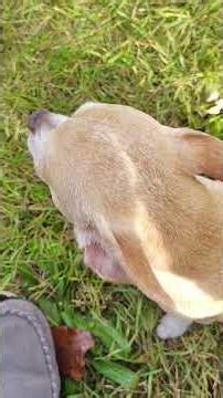 Seismic Activity and Nano Technology part 3 - Nano gets cold and wants in❤️