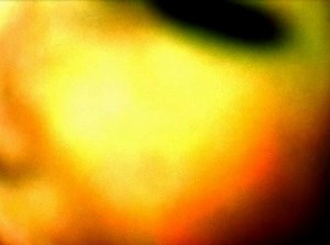 The Mermaids no Longer Sing II