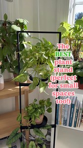 🌿THE CUTEST PLANT STAND | share save 🌿Comment VERTICAL STAND for the info!I found this sleek plant stand that I absolutely love! It fits 3 plants and I think you could probably hang small plants from the horizontal bars too!I love that it’s vertical and doesn’t take up a ton of space so it’s perfect for narrow and small spaces too! How do you like displaying your plants?....#homedecor #biophilicdesign #indoorhouseplants #trailingplants | Reenasplants