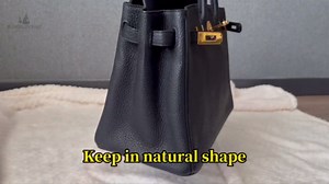Purse Organizer Insert for Luxury Bag - Satin & Lightweight Fabric with Inside Pockets, Portable for Commute, Travel, Shopping, and Evening, Multicolor Options, Fits Evelyne 40 TGM(Craie, TGM)