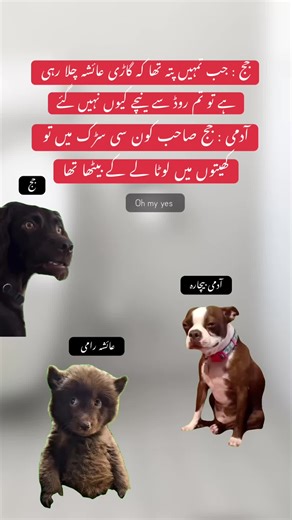 Ayesha's Hilarious Moment