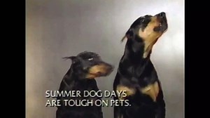 1987 - PSA - The Lads Zeus & Apollo from Magnum, P.I. - Never keep us in a parked car... - KDKA-TV 2