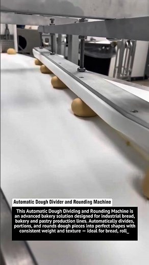 Automatic Dough Divider and Rounding Machine | Smart Bakery Equipment | Bread & Bun Production Line