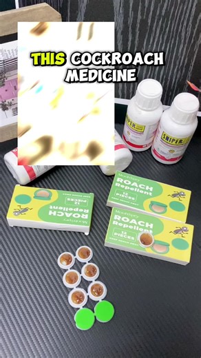 Effective Cockroach Control Spray for Home
