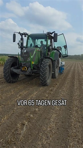Gemüse in 65 Tagen ernten: Von der Aussaat zur Ernte 🌱