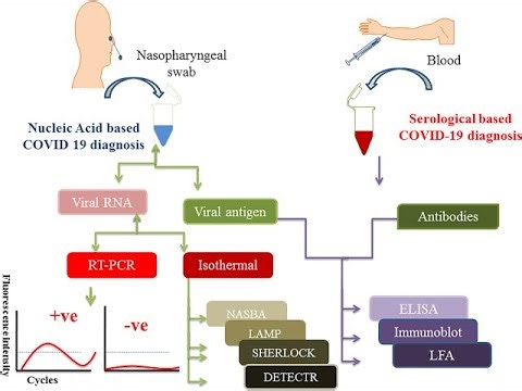 Microorganisms And infectious diseases detected by molecular techniques