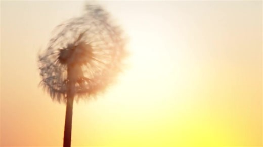 Videoanzeige von Wolfgang Degenhardt