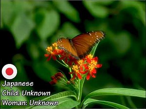 Baby Einstein - Baby Shakespeare: The Butterfly (One-Line Multilanguage)