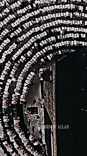 Allah huma sali alah❤️🌼#allah #muhammadali #allahuakbar #islamic_video #viralvideo #viralvideo #islamicstatus #grow #myaccount #fyyyyyyypppppppp #foryou #fyp #goviral #capcut #tiktok #capcutvelocity