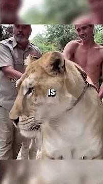 This Animal Was Never Meant to Exist