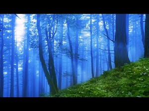 Rain Sounds for Sleeping 10 Hours 🌧️Fall Asleep to Rainstorm White Noise