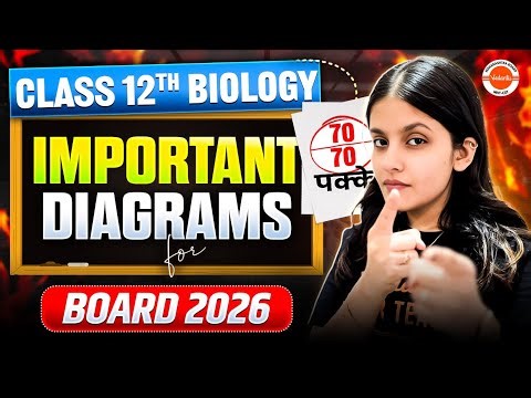 Class 12th Biology Important Diagrams | Maharashtra HSC & MHT-CET 2026 | Biology By Radha Mam