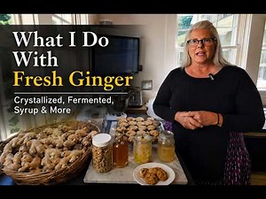 What I Do with Fresh Ginger | Crystallized, Fermented, Syrup & More