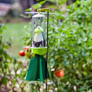 [Hot Item] Outdoor Reusable Plastic Stink Bug Trap Control Catcher