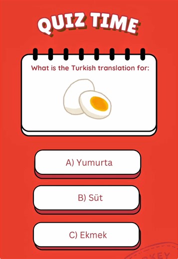 Learn Turkish Basics Daily: Your Ultimate Guide