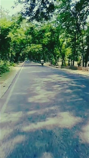 Dil Lga lia Maine #shorts #shortfeed #hindisong #bolleywoodsong