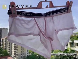 Men's See-through Ice Silk Underpants