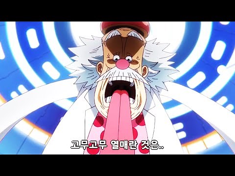 Vegapunk finally reveals the secret of the Gomu Gomu fruit #OnePiece