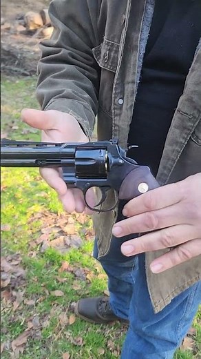 first shots for the new blued Colt Python.