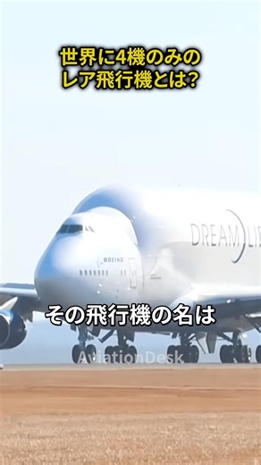 世界に4機のみのレア飛行機とは？ #飛行機 #航空機