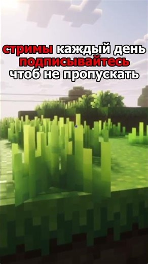 стрим каждый день заходи#minecraft