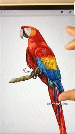 🦜✨ #procreate #watercolorpainting #digitalart #drawing #watercolor #digitalwatercolor #parrot
