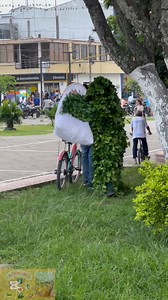 El árbol divertido #pranks | Los parrillos 420