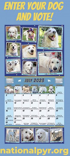 Enter your dog in the biggest and best Pyr calendar around. Over 200 pictures of rescued Pyrs featured. Deadline July 31. | National Great Pyrenees Rescue
