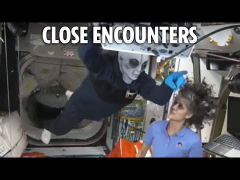 'Alien' greets SpaceX crew as they dock at ISS to rescue stranded astronauts