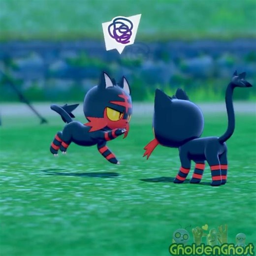 Litten Fight! 😾🔥 #pokemon #litten #pokemonswordshield #cat #incineroar #alola #alolan #kitten