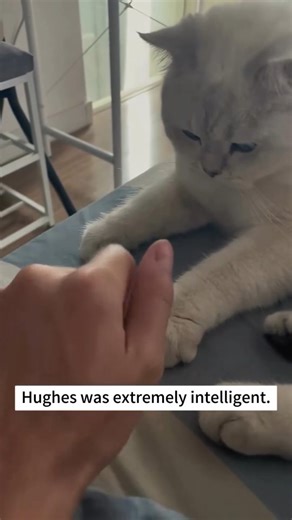 SOULSCRIPTED HEART | 🇯🇵この速度に達すると、もはや陸上を移動しているのではなく、音速で移動していることになります🚀🌍... | Instagram