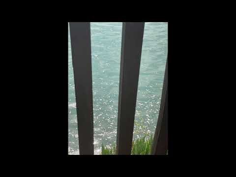 복잡한 하루를 잠시 내려놓고