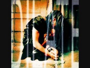 Ani DiFranco - Done Wrong