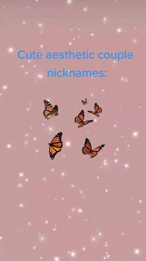 cute aesthetic couples nicknames any request?