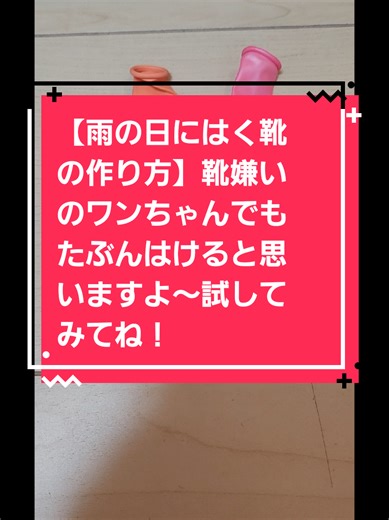 雨の日に最適な犬用靴の作り方