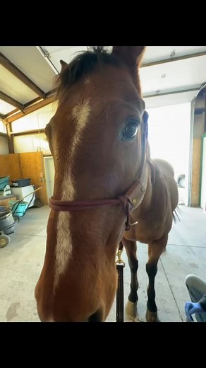 15 reactions | A healer in need of healing.  Friday’s recovery has...