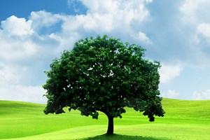 Another button game - Free Addicting Game ★★★★★