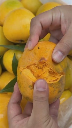 Rare Egg Fruit — The Golden Tropical Fruit!#fruit #fruitgarden #fruits