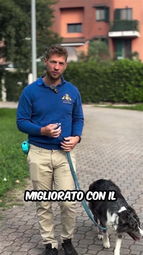Perché ha ricominciato a tirare?