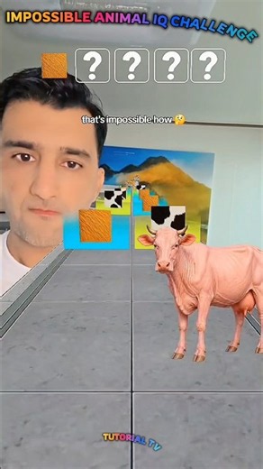 #trick