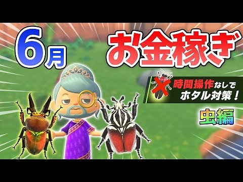 【あつ森】6月のお金の稼ぎ方！時間操作なしで効率よく30分40万ベルを稼ぐ最強の方法！離島でサソリやゴライアスを乱獲するための湧きつぶし金策法解説【あつまれどうぶつの森 6月お金の稼ぎ方】