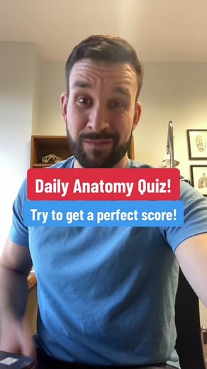Anatomy Quiz: Test Your Knowledge on Muscle Groups and Enzymes