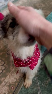 53K views · 3.2K reactions | Stella殺 Dob 01.10.2023. IF you are...