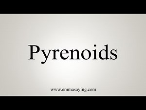 How To Say Pyrenoids