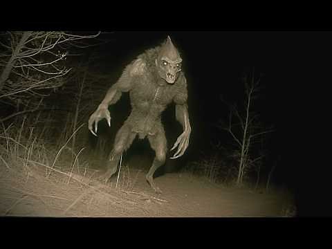 Haunted Forests So Terrifying No One Ever Returns